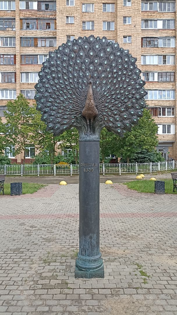 Серпухов, Подмосковье, клумбы, цветы, общественное место