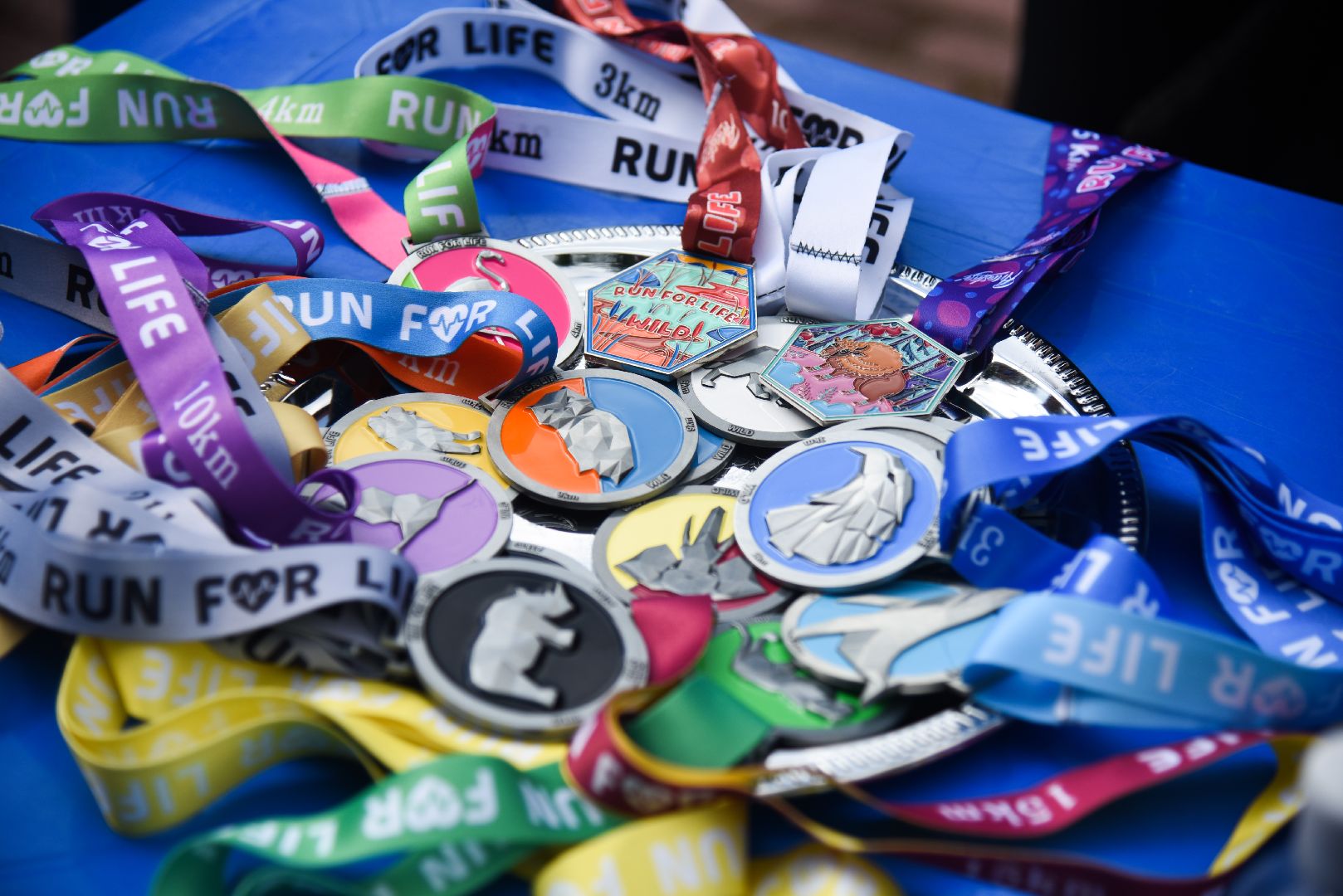 Химки, спорт, благотворительность