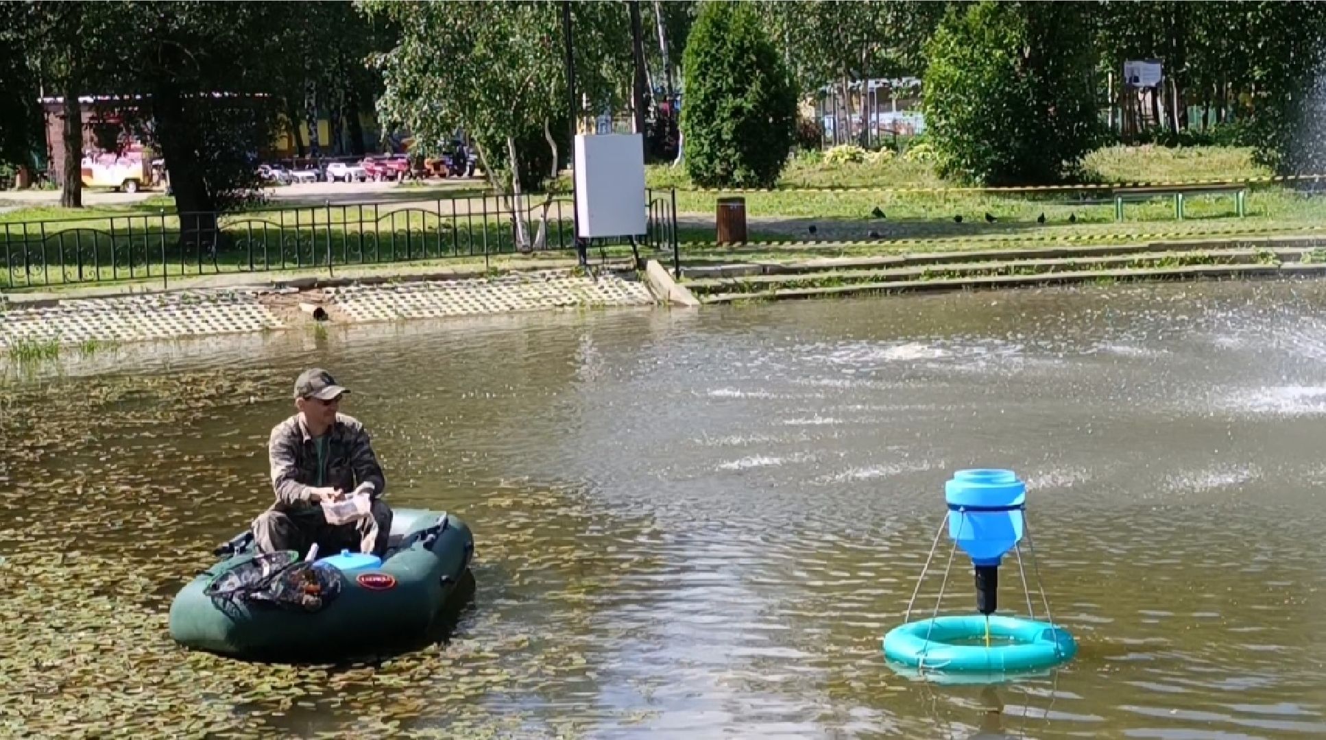 пруд, рыба, парк