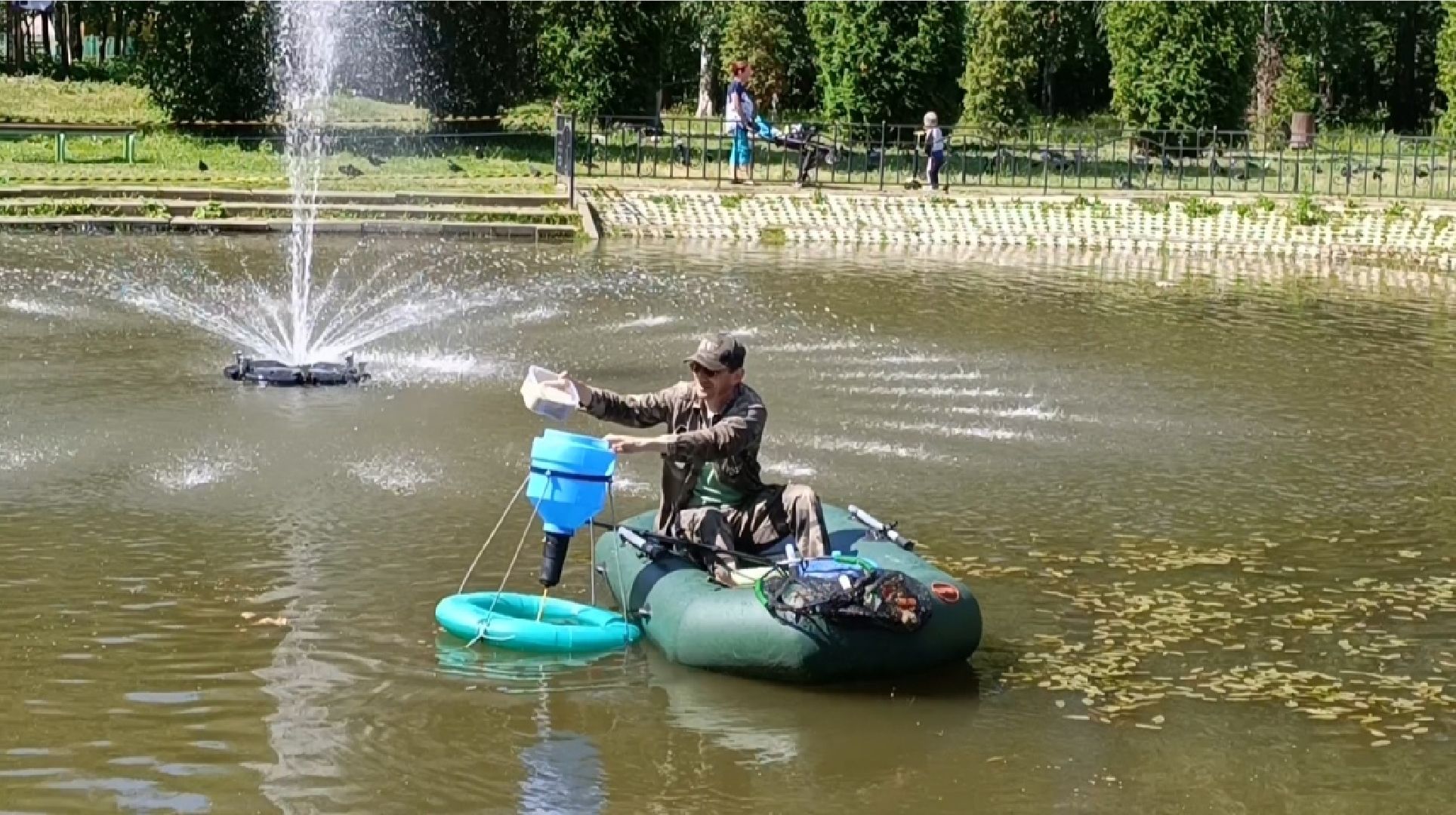 пруд, рыба, парк