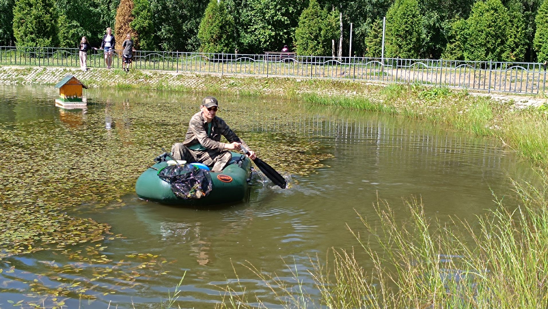 пруд, рыба, парк