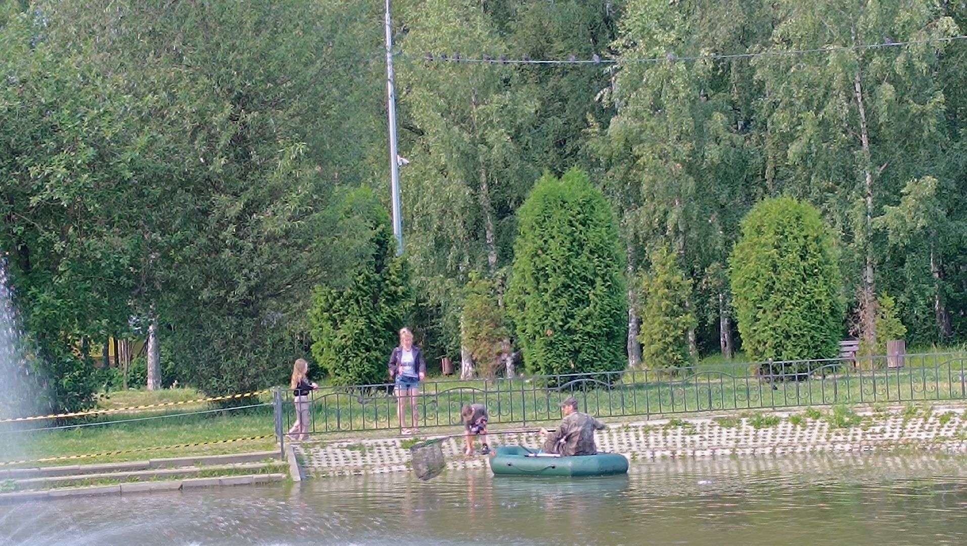 пруд, рыба, парк