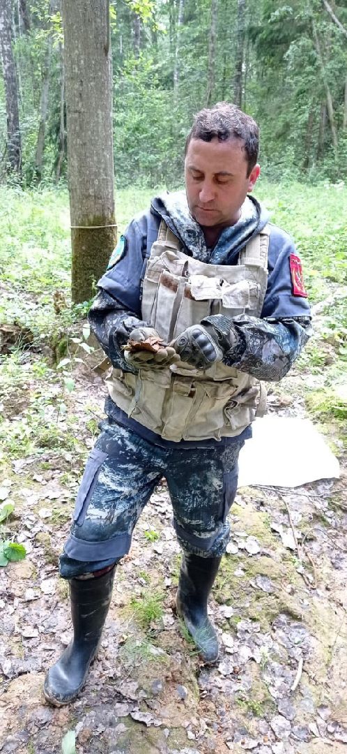 История,раскопки,война