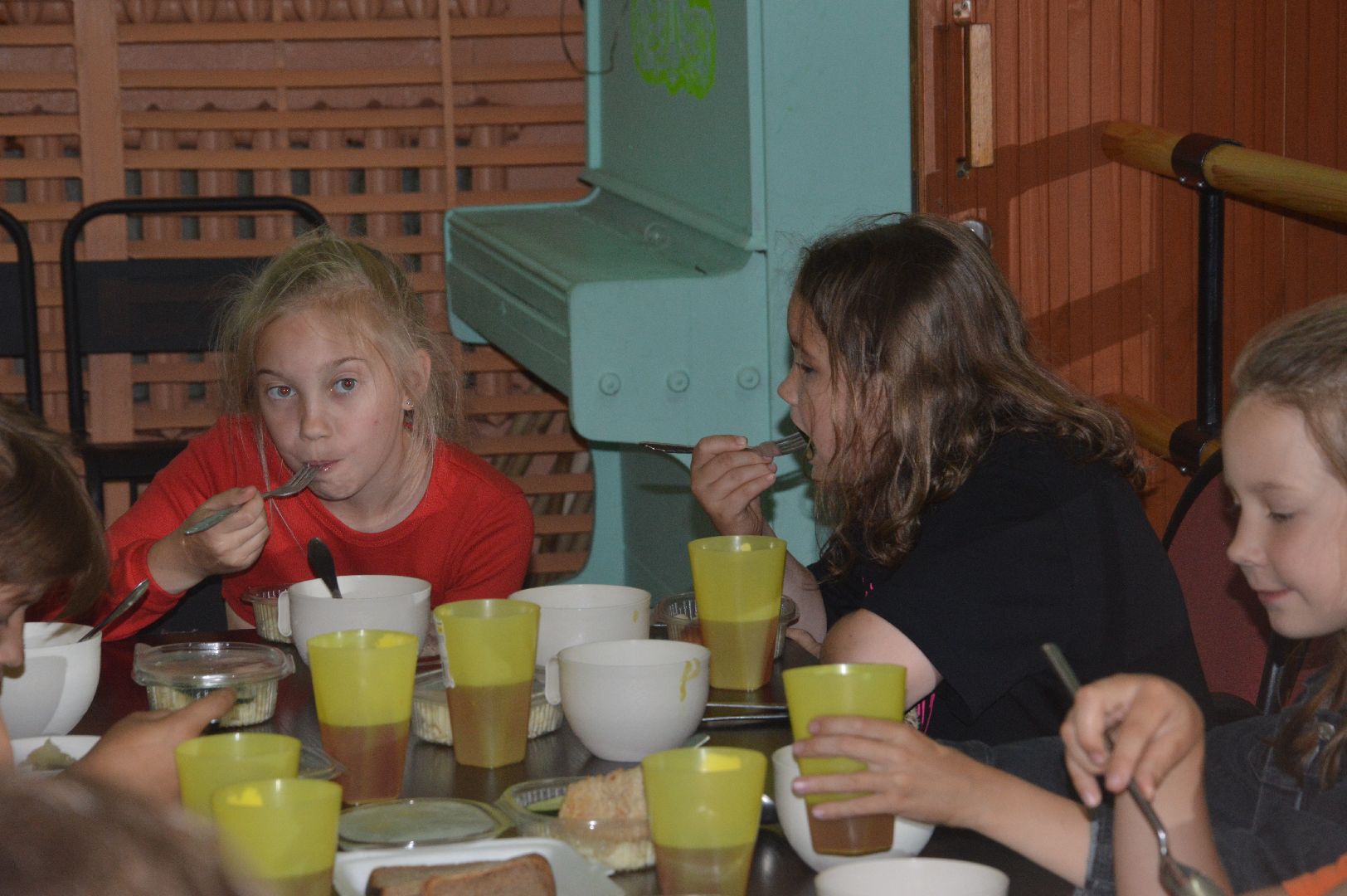 #шатура, #петровское, #профессия_мечты, #лагерь_отдыха