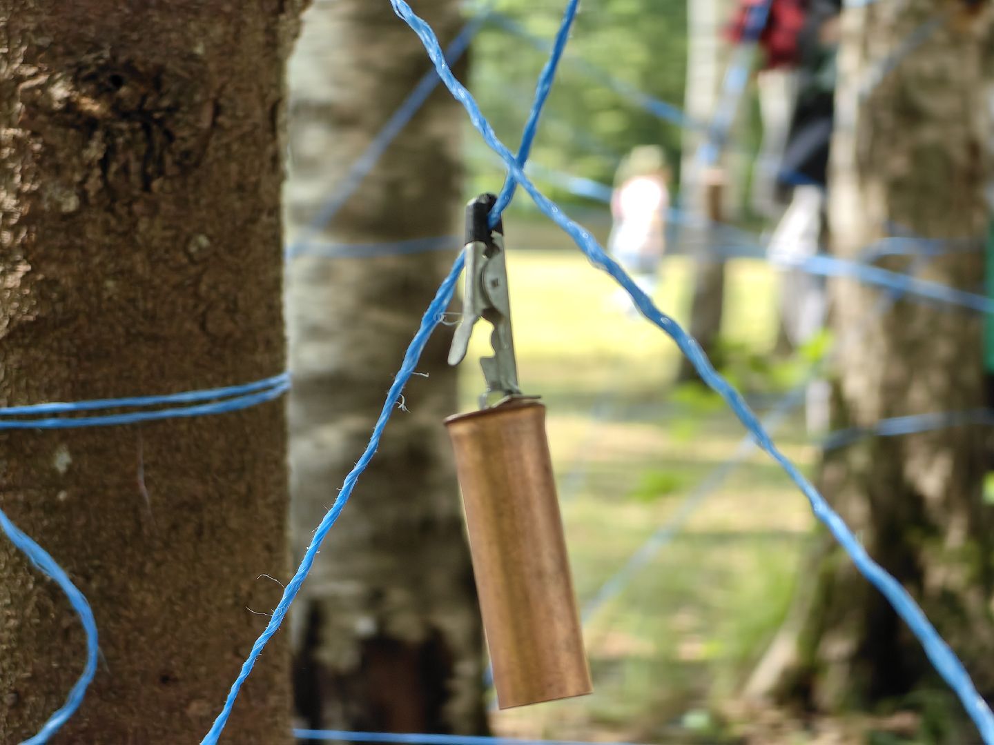 Лабиринт, игра, лагерь, испытание