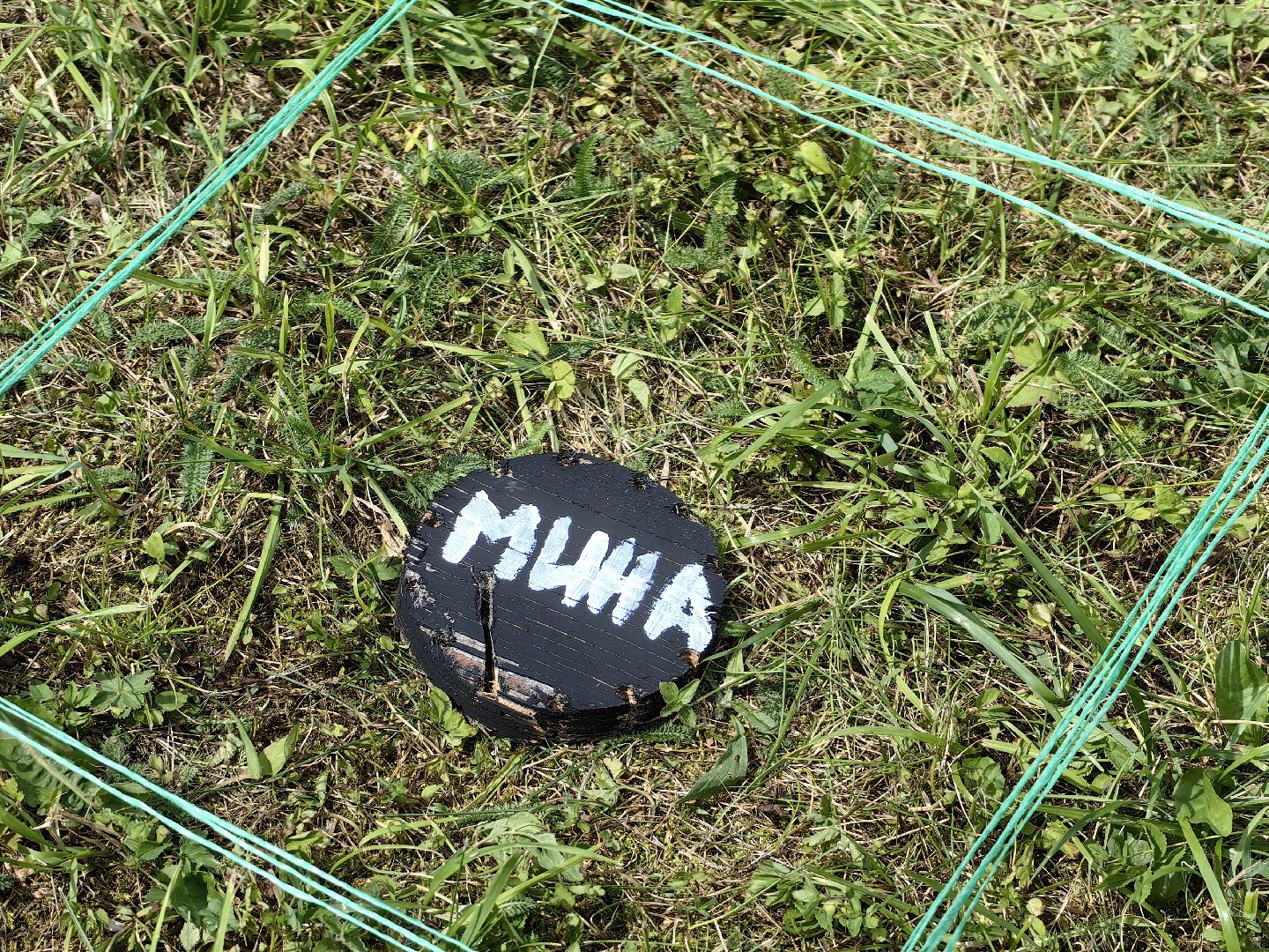 Лагерь, детство, разметка, спасение, товарищ