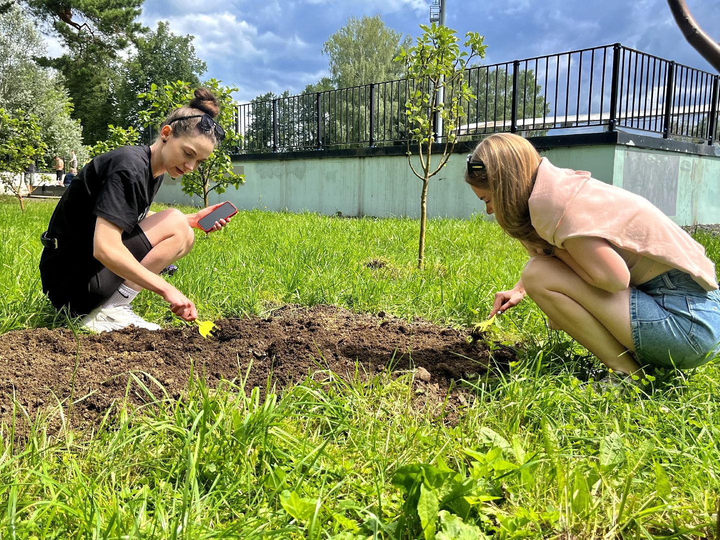 Наро-Фоминск, Центральный парк, общественный огород, Подмосковье, лето в Подмосковье