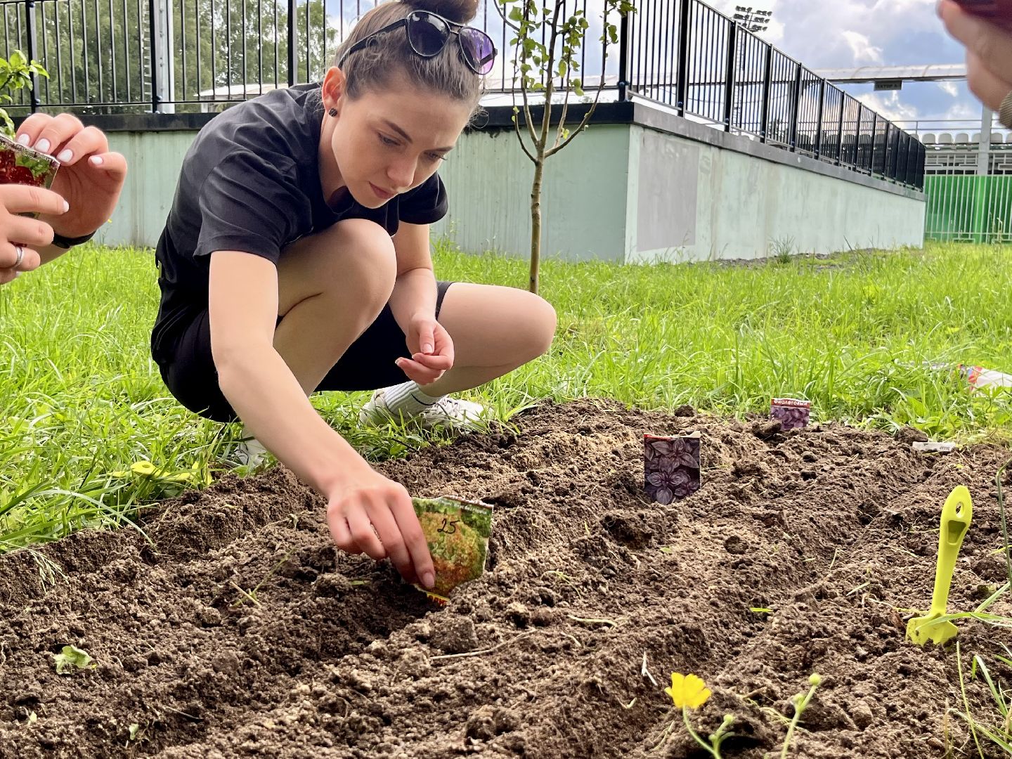 Наро-Фоминск, Центральный парк, общественный огород, Подмосковье, лето в Подмосковье
