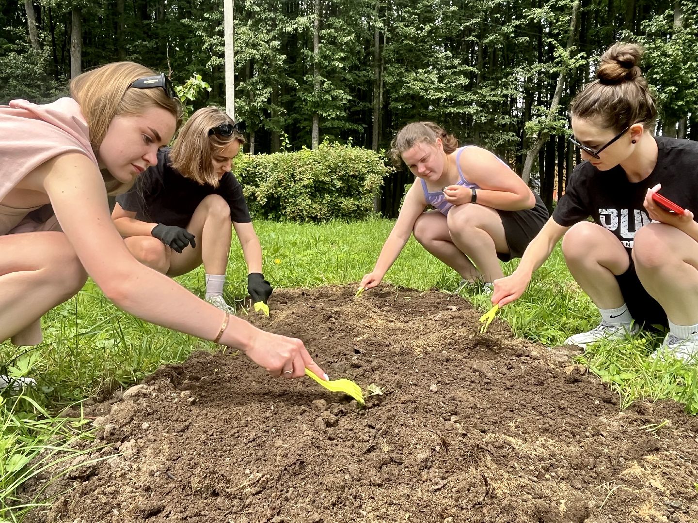 Наро-Фоминск, Центральный парк, общественный огород, Подмосковье, лето в Подмосковье
