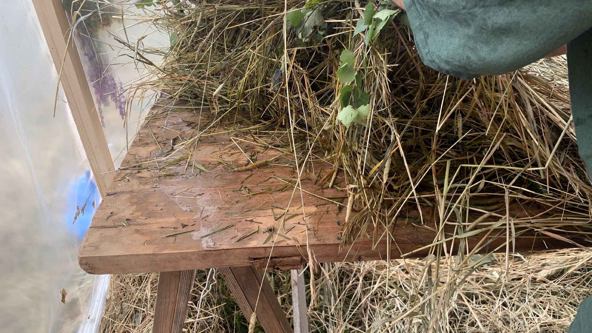 Кашира, Банный Спас, партизанская баня