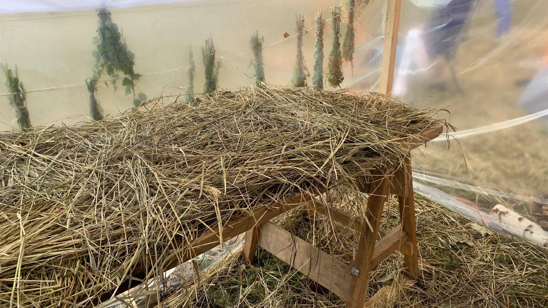 Кашира, Банный Спас, партизанская баня