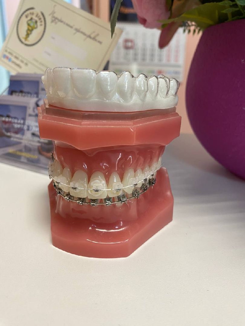 Чехов, медицина, сканер, стоматология, губернатор, Андрей Воробьев, оборудование