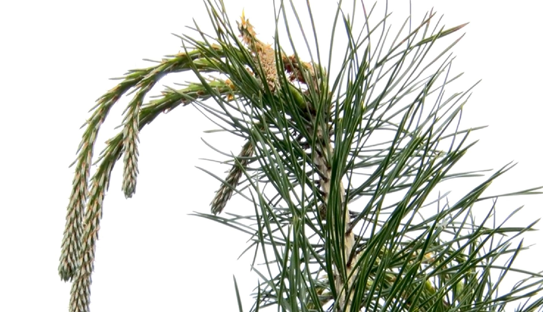 Клин, медицина, общество, благоустройство, перемены