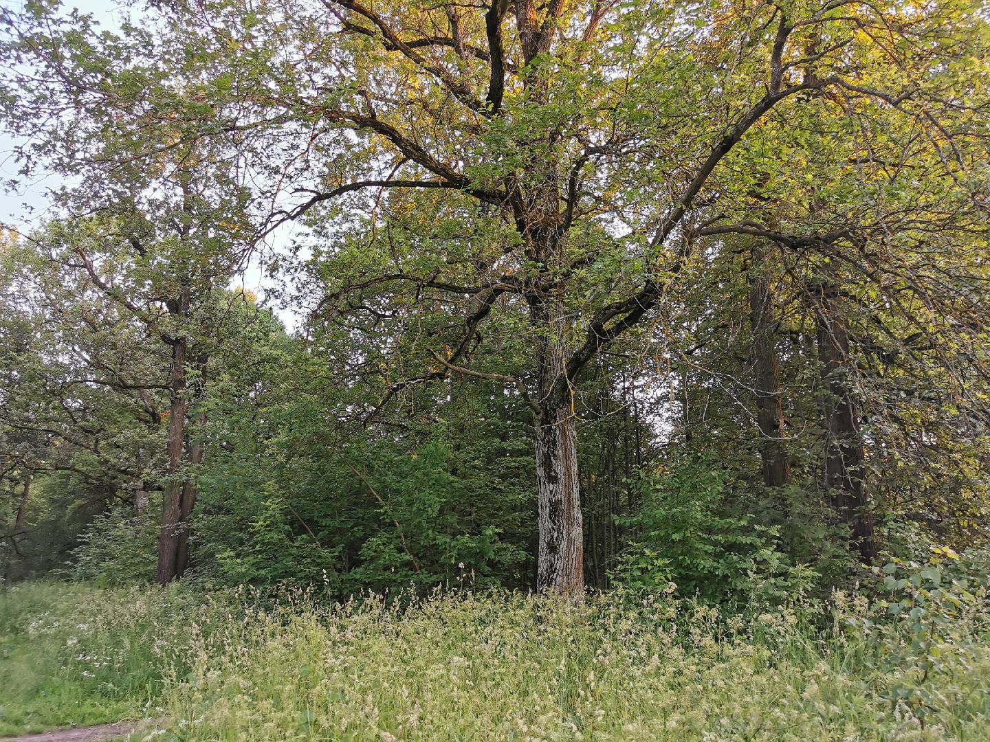 Подольск, школа