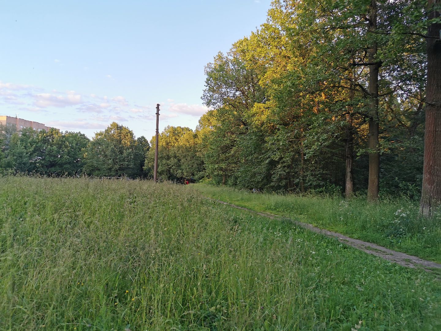 Подольск, школа