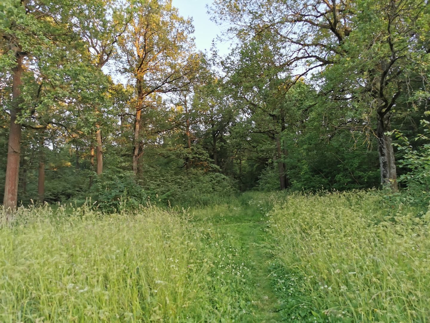 Подольск, школа