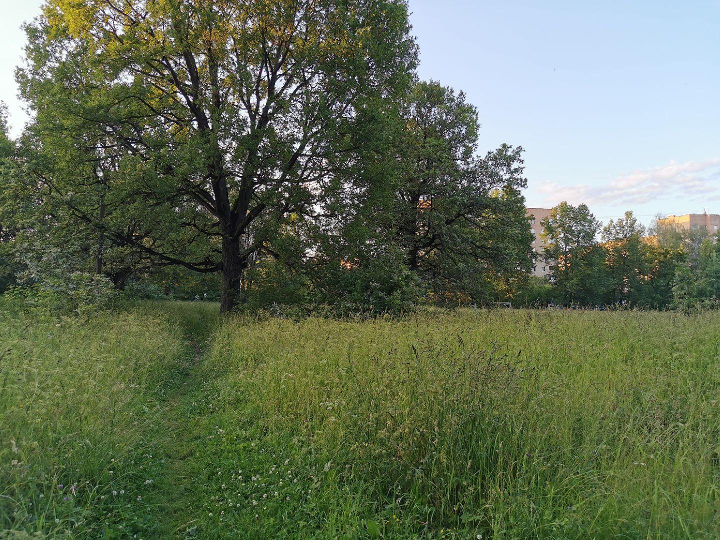 Подольск, школа