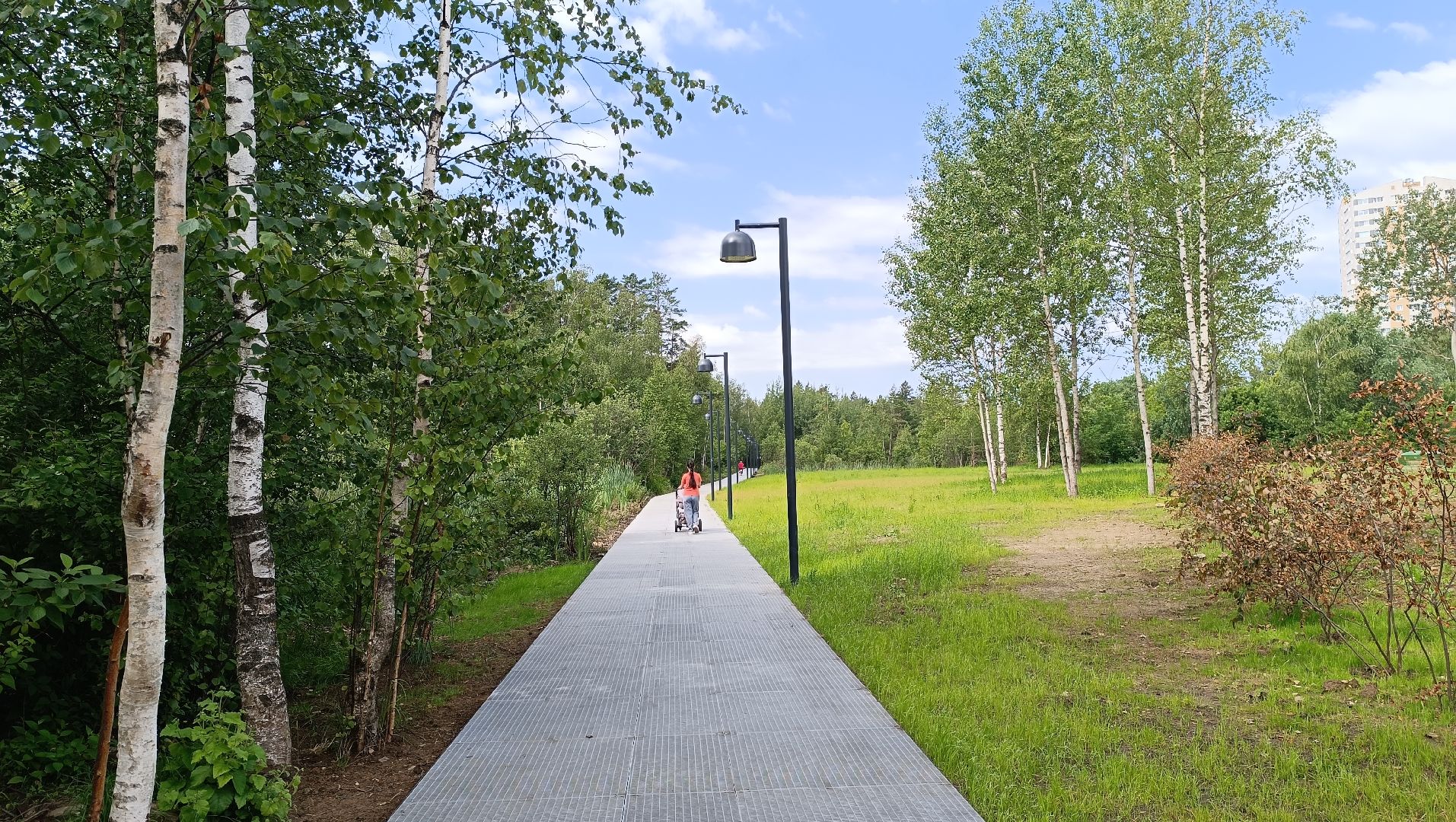 парк, благоустройство, Лобня