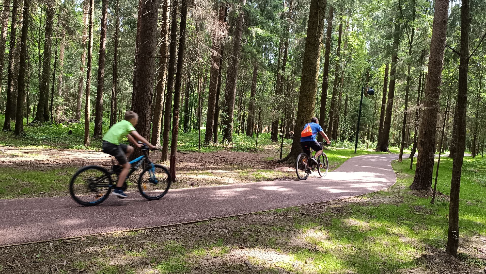 парк, благоустройство, Лобня