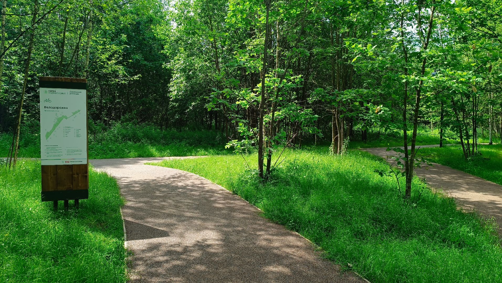 парк, благоустройство, Лобня