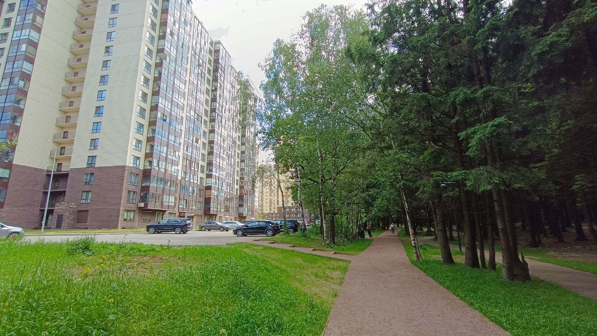 парк, благоустройство, Лобня