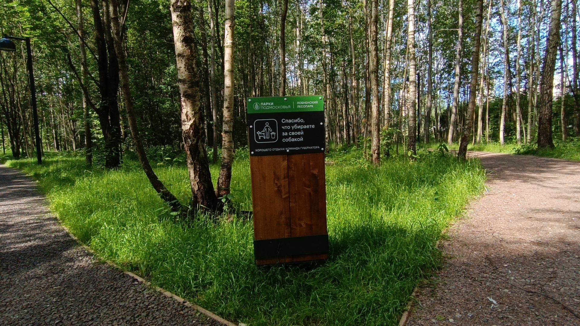 парк, благоустройство, Лобня