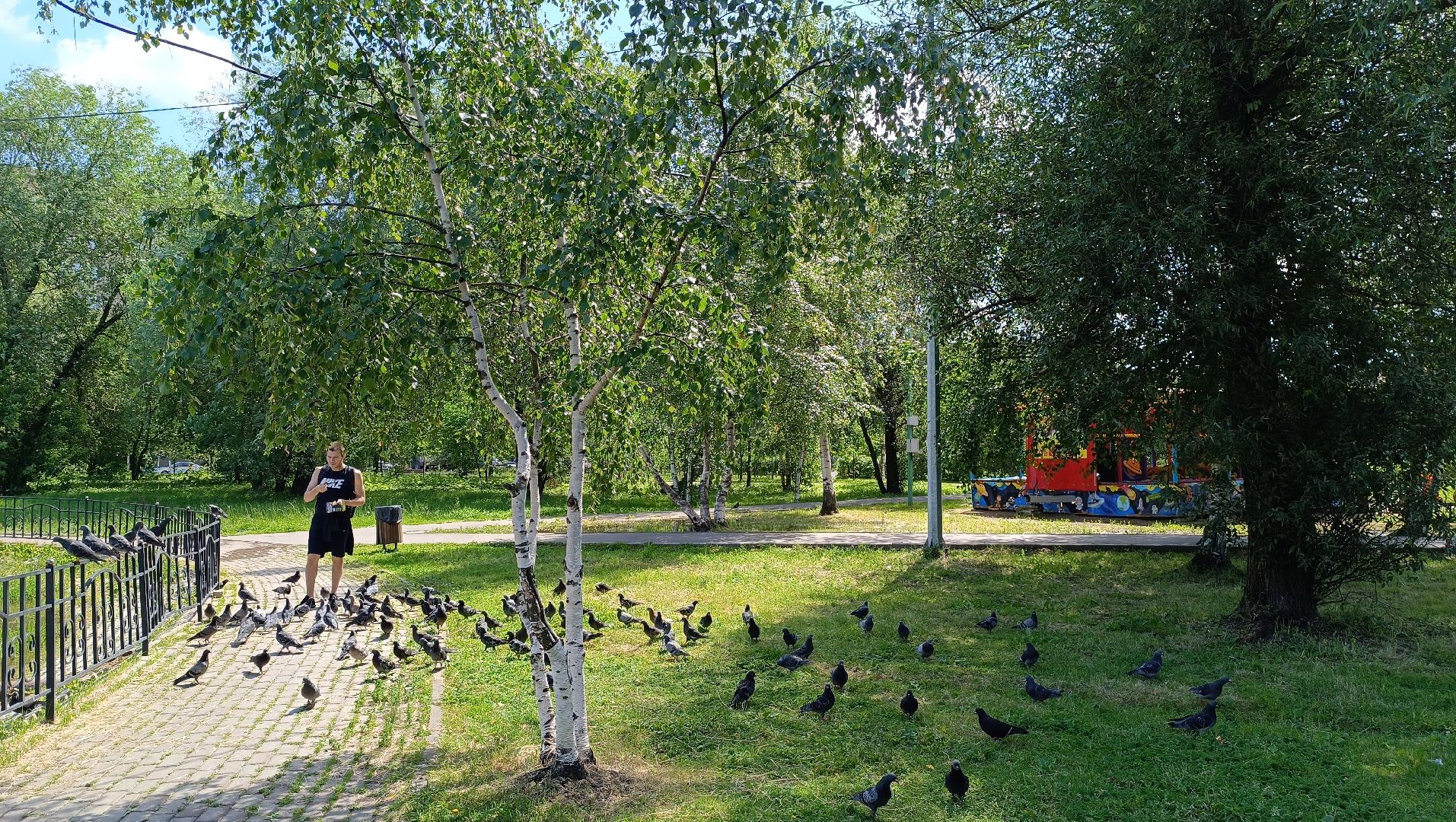 Лобня, парк, собака