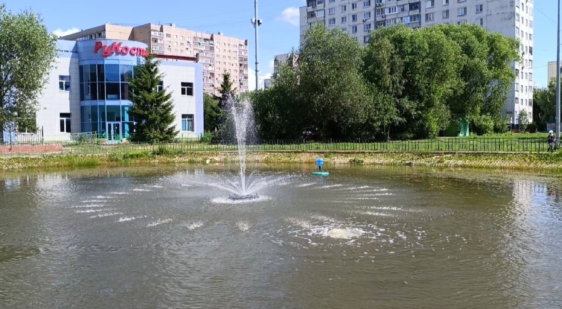 Лобня, парк, собака