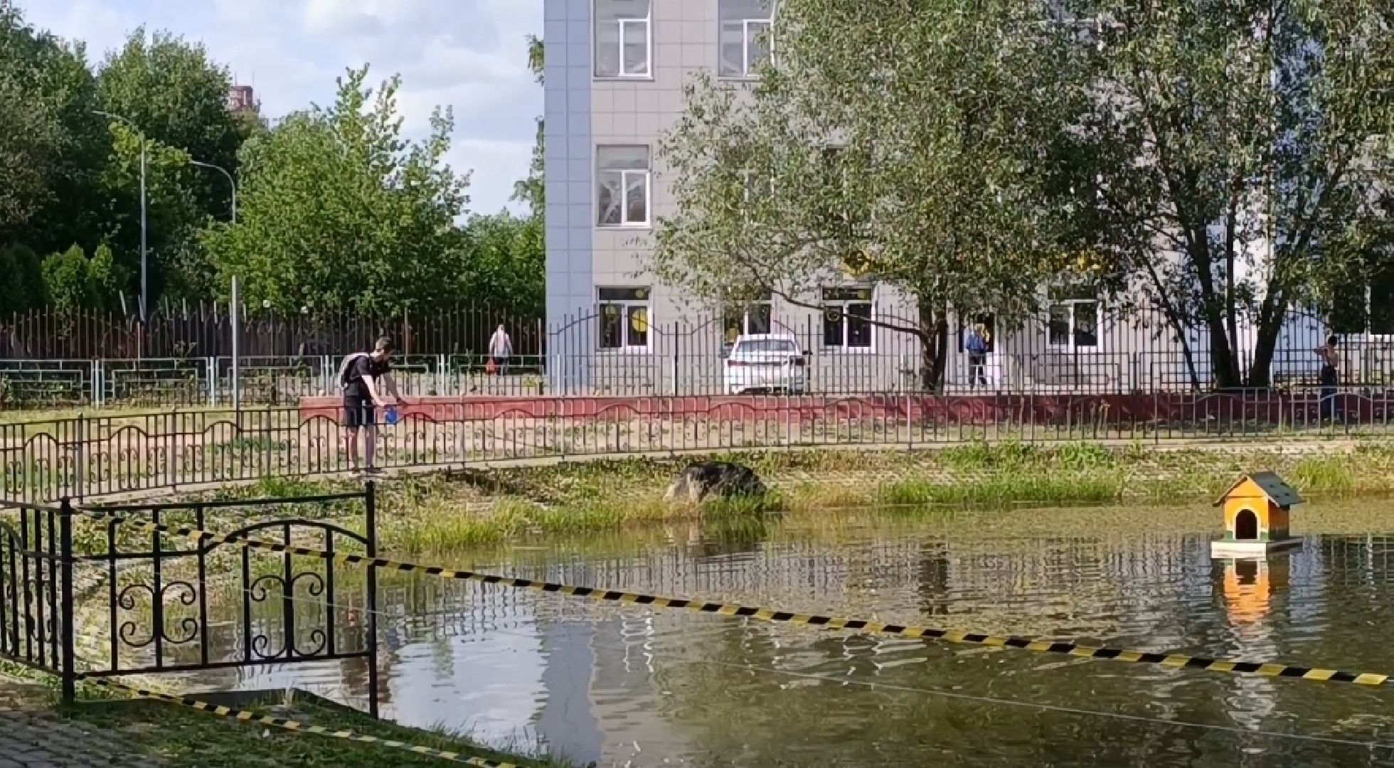 Лобня, парк, собака