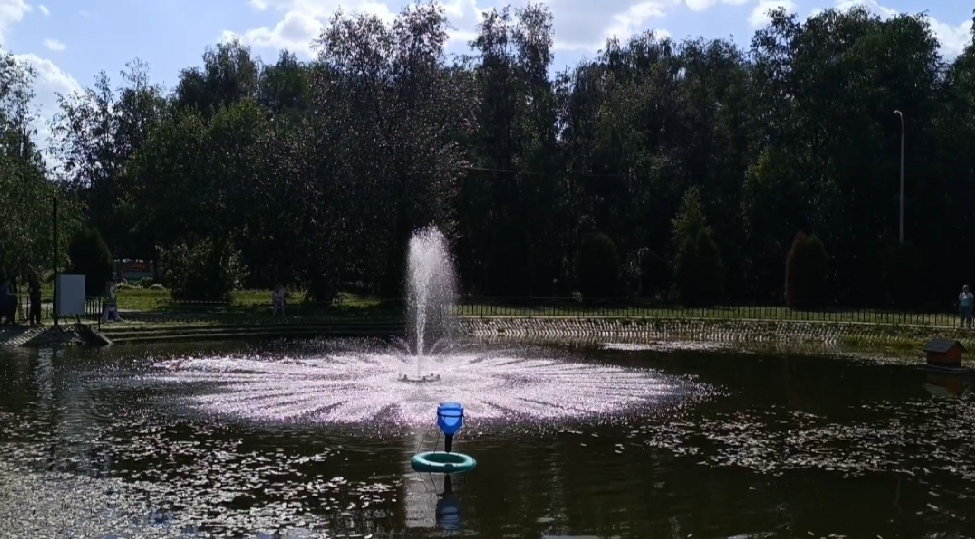 Лобня, парк, собака