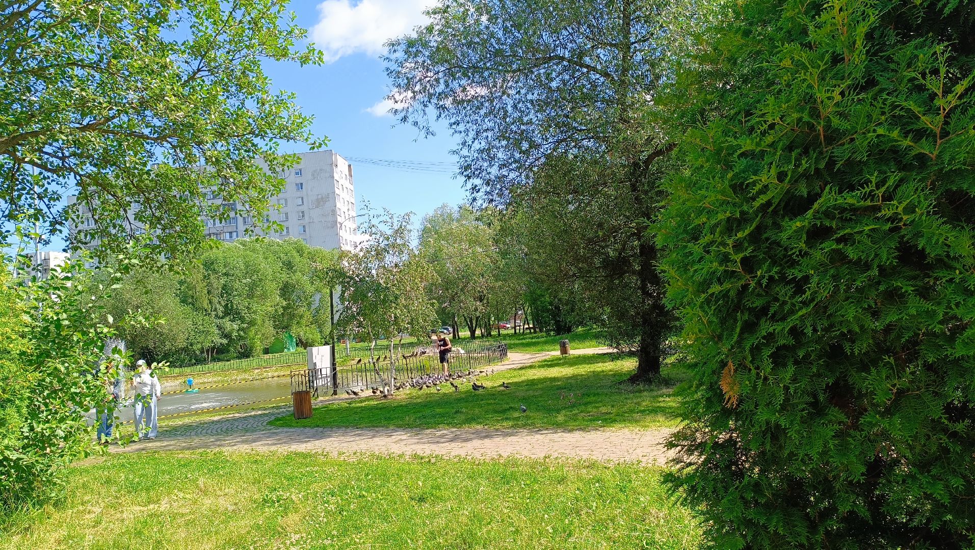 Лобня, парк, собака