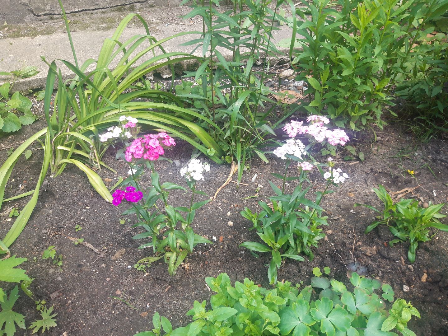 двор, выходи во двор, доброе дело,