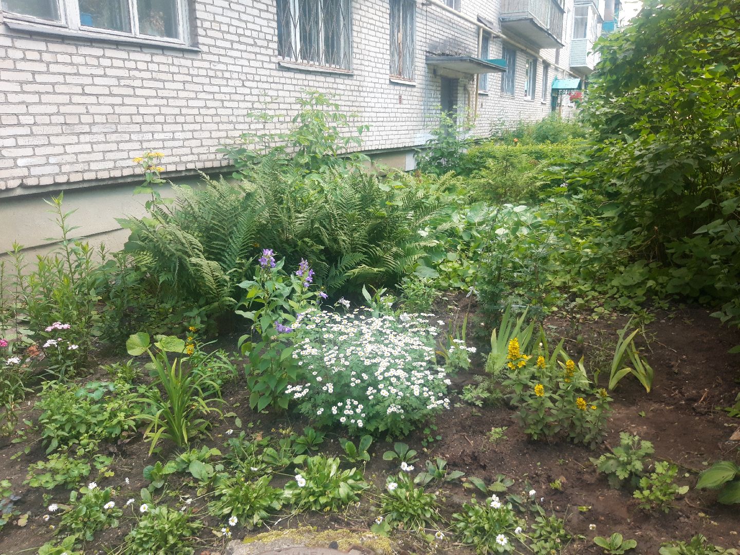 двор, выходи во двор, доброе дело,