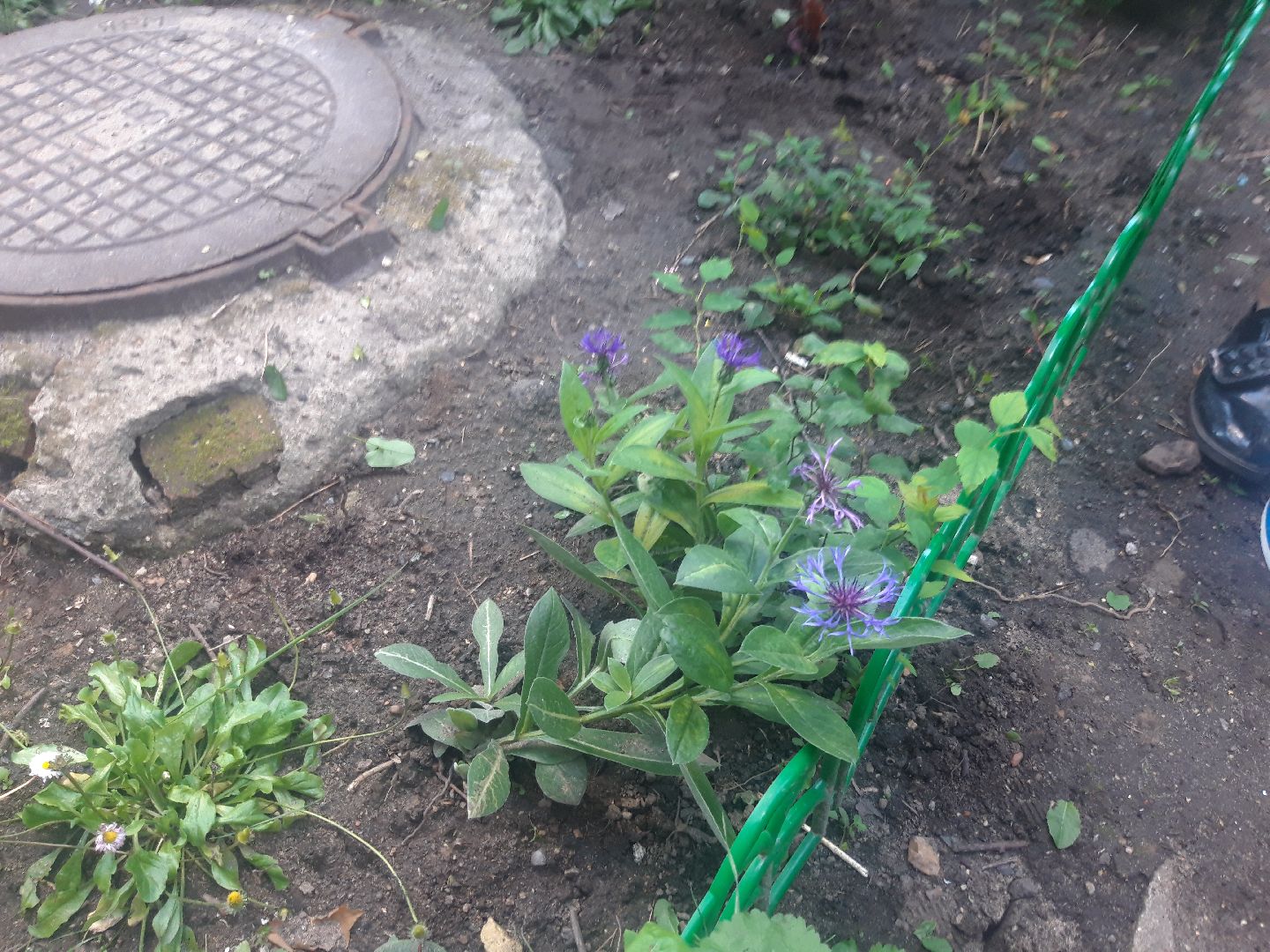 двор, выходи во двор, доброе дело,