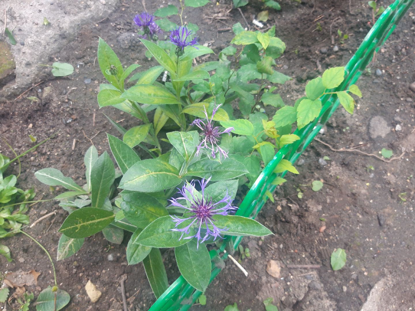 двор, выходи во двор, доброе дело,