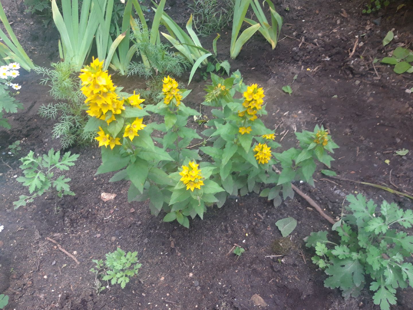 двор, выходи во двор, доброе дело,