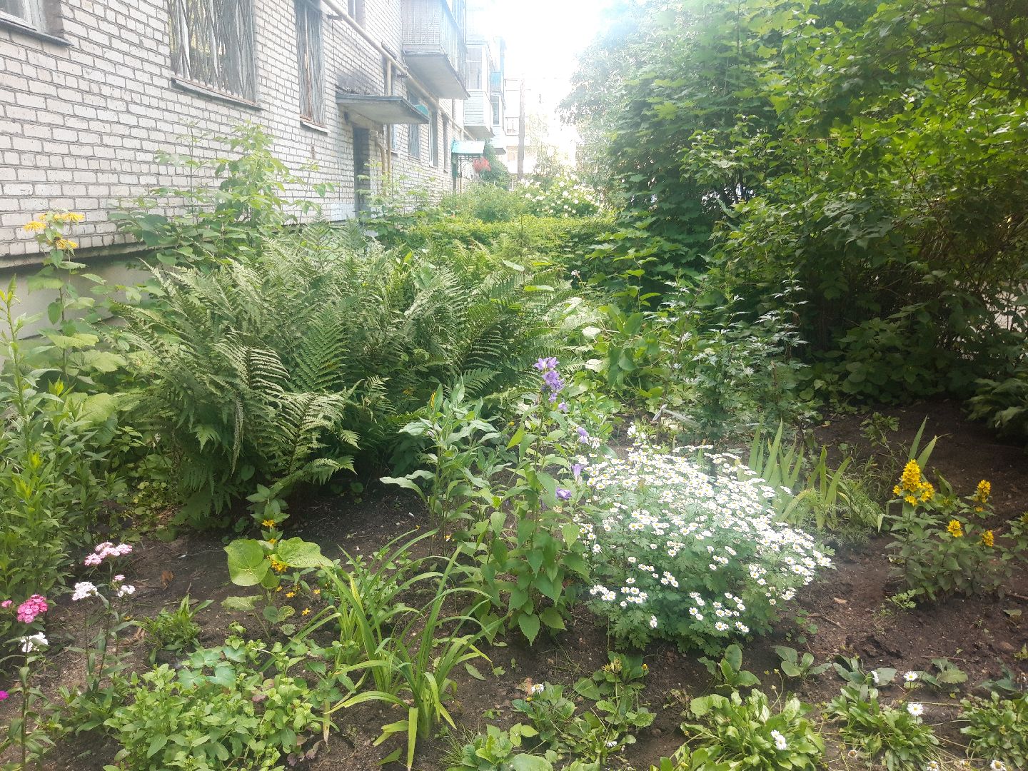 двор, выходи во двор, доброе дело,