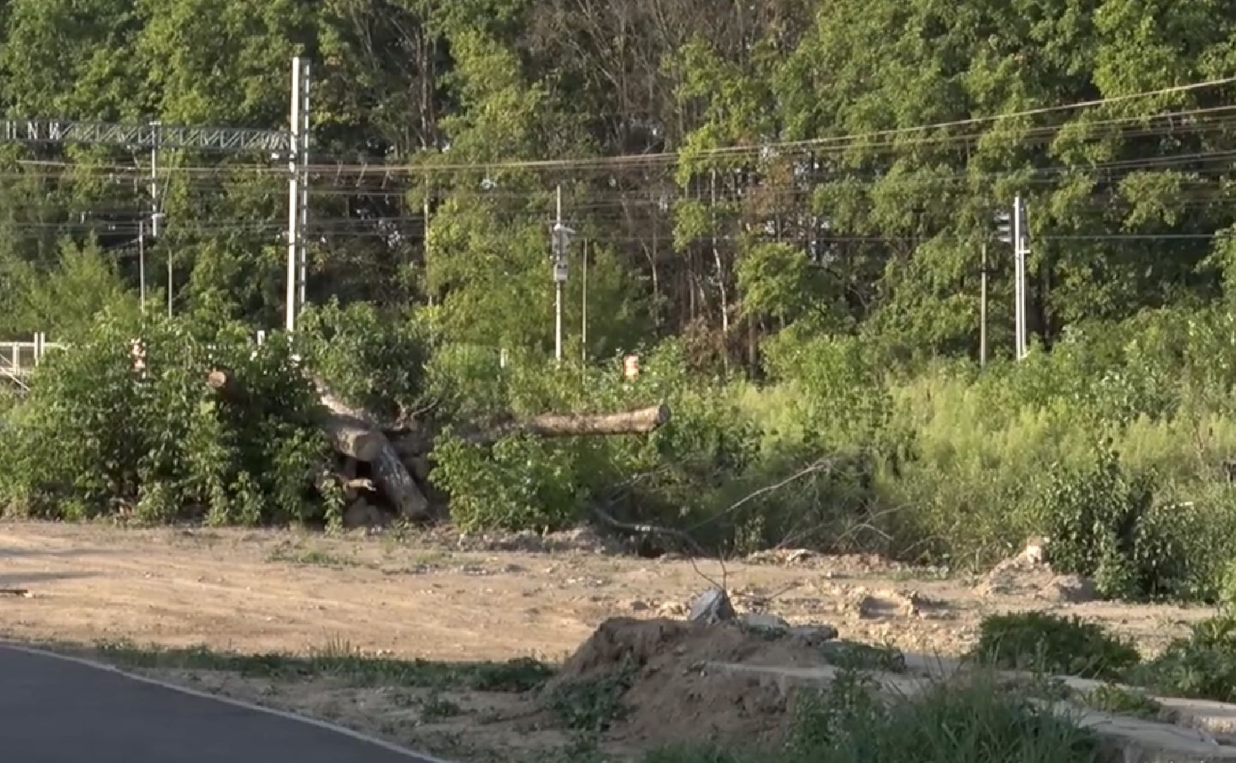 Клин, перемены, благоустройство, народные тропы