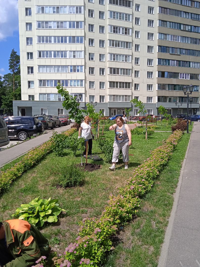 Город-сад, Парк-сити, цветы, волонтёры, посадка
