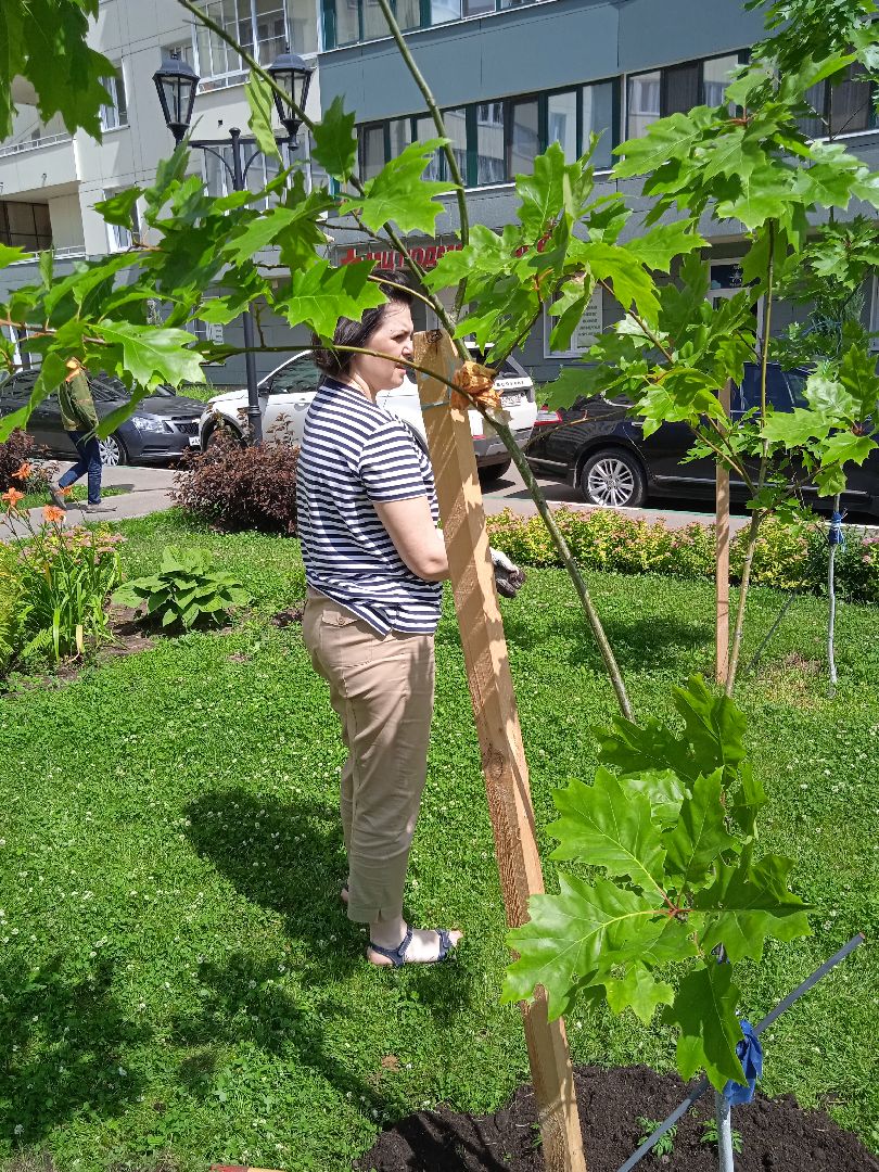 Город-сад, Парк-сити, цветы, волонтёры, посадка