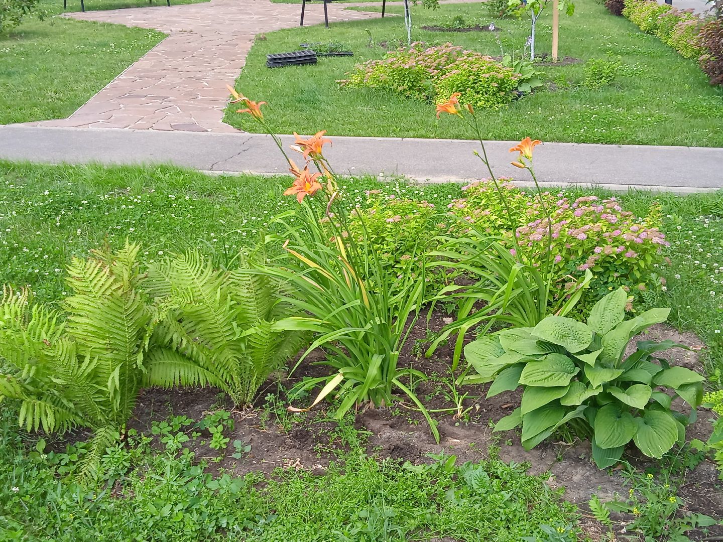 Город-сад, Парк-сити, цветы, волонтёры, посадка