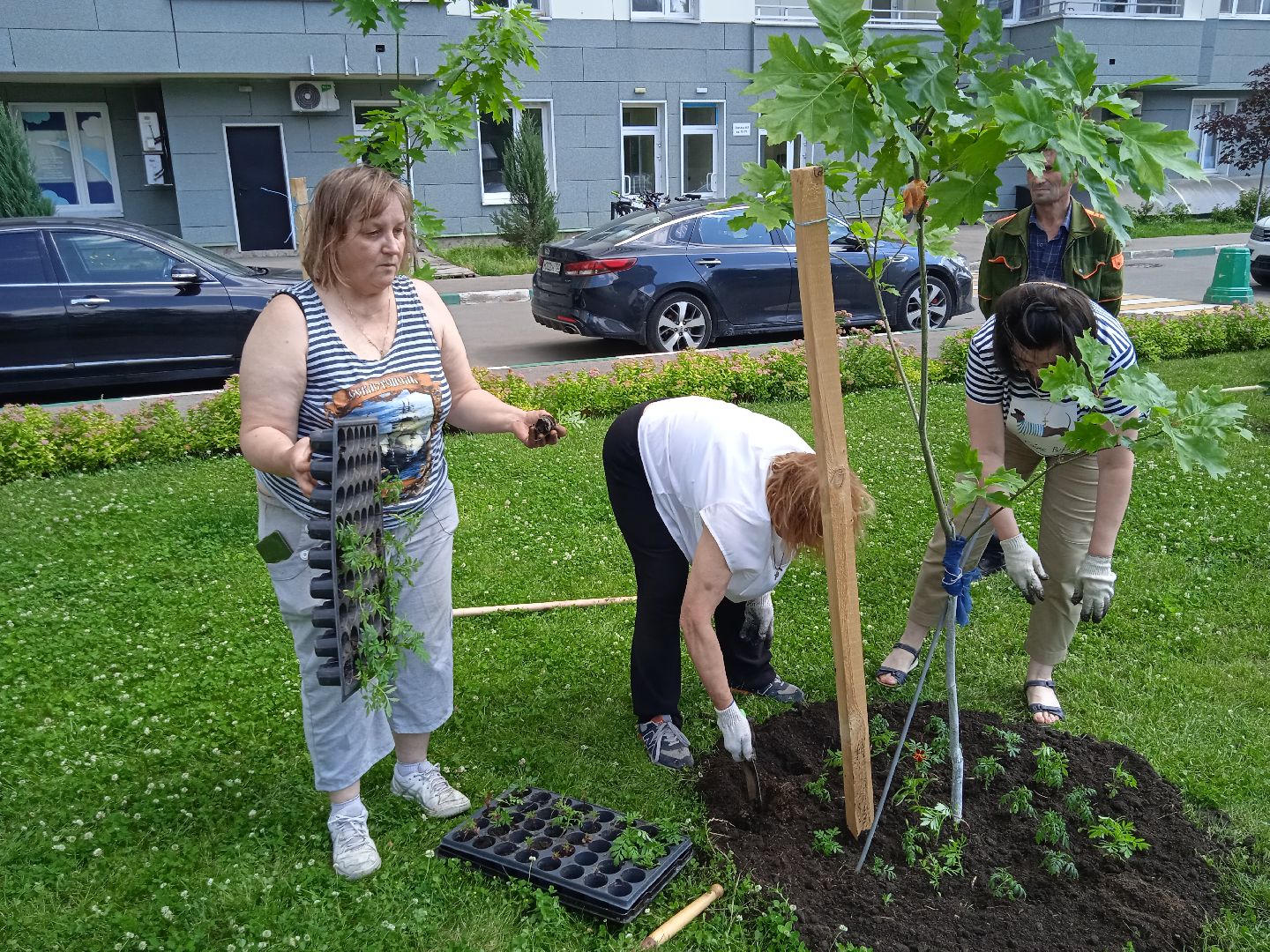 Город-сад, Парк-сити, цветы, волонтёры, посадка