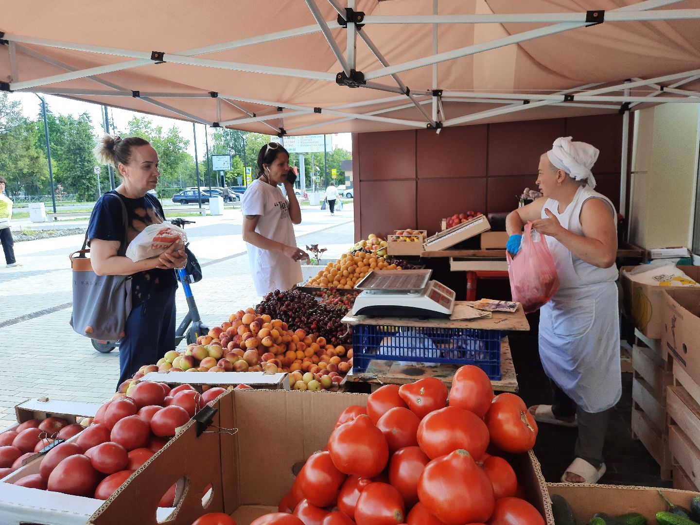 #шатура, #уличная_торговля, #фрукты, #палатки