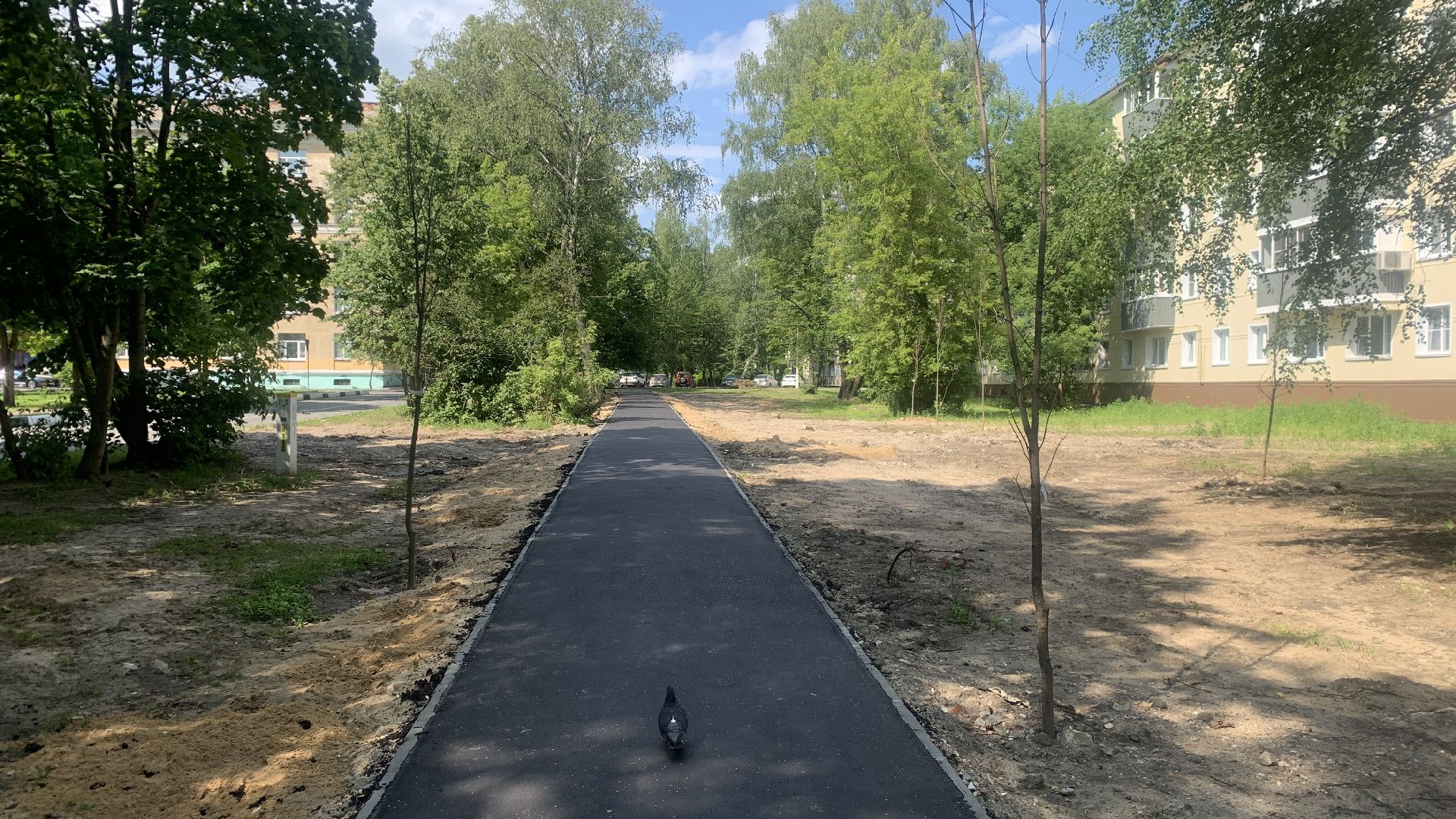 Ступино, благоустройство, пешеходная дорожка