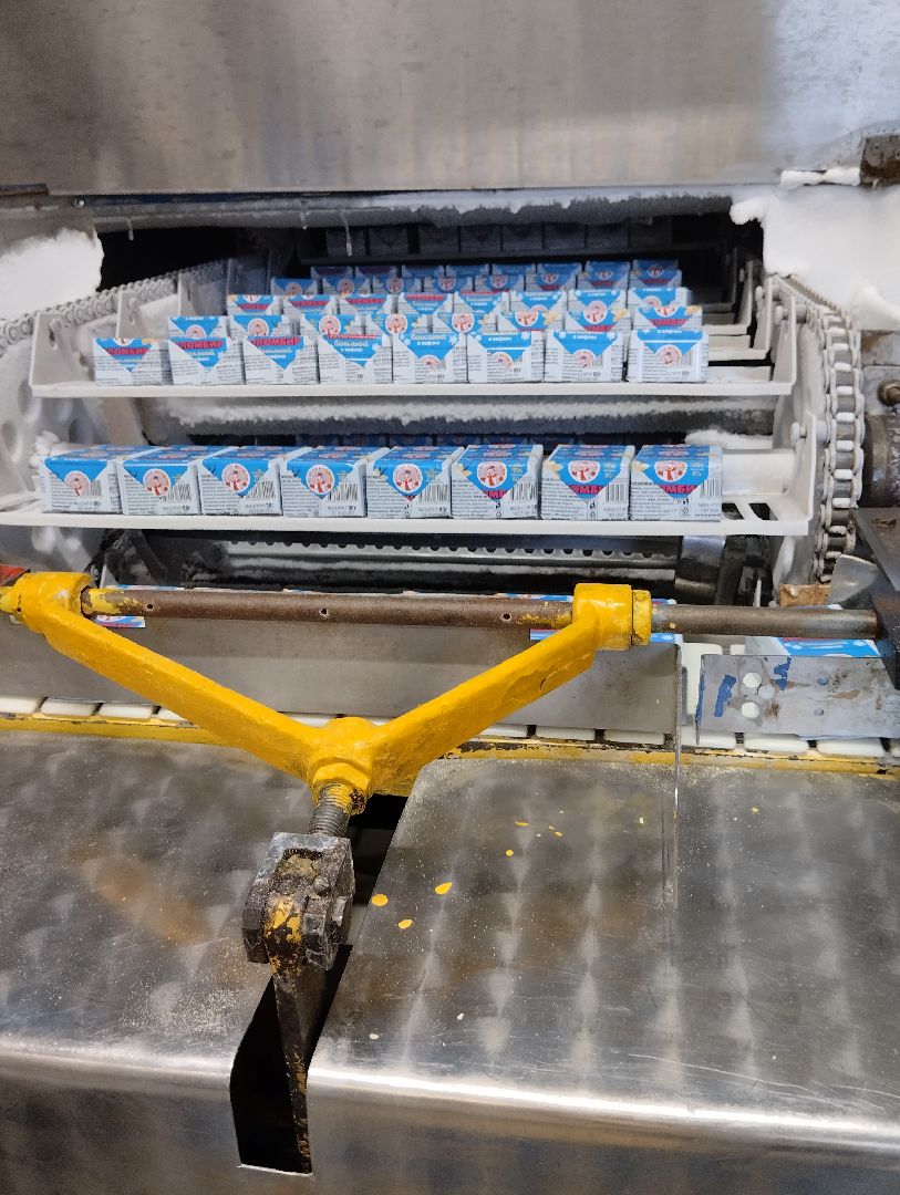 Мороженое, хладокомбинат, производство, Ногинск, Богородский городской округ