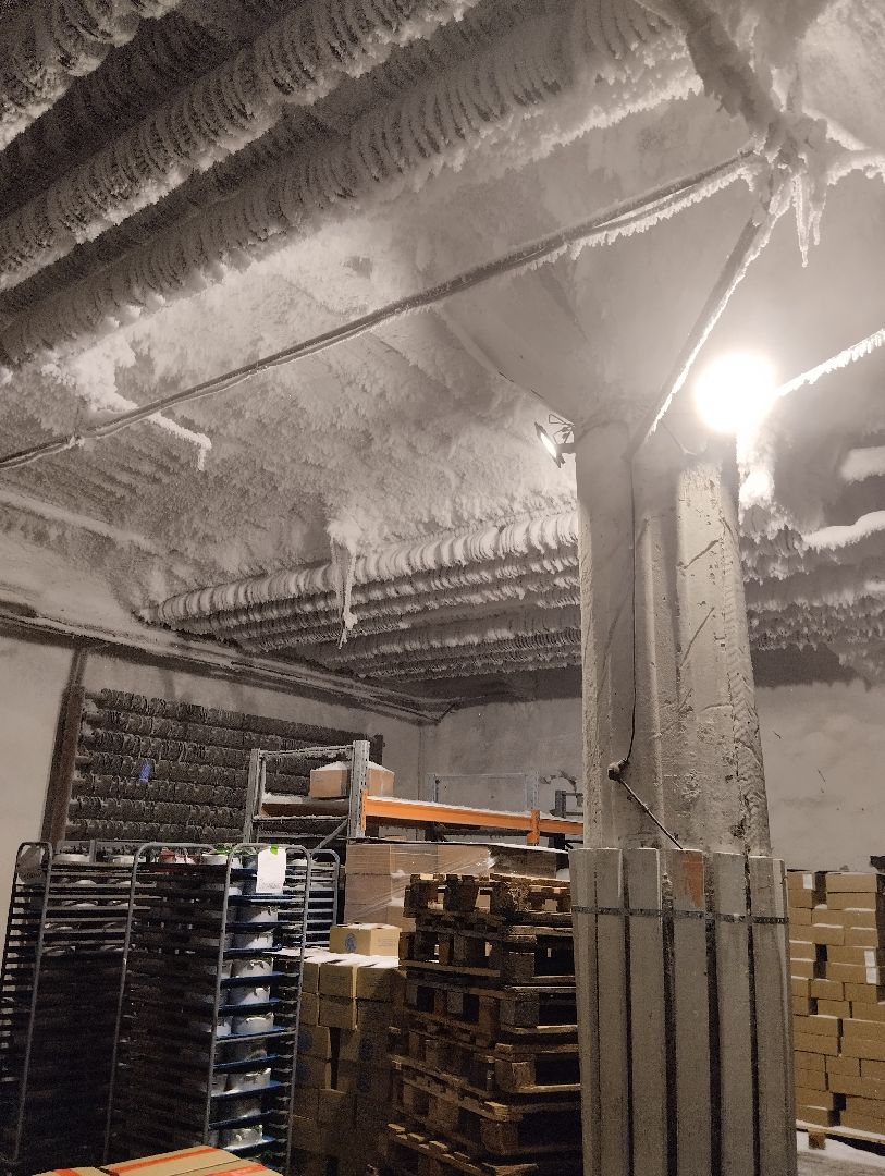 Мороженое, хладокомбинат, производство, Ногинск, Богородский городской округ