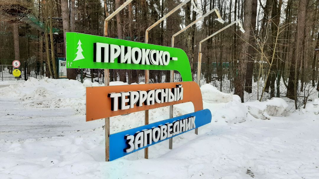 Зима в Подмосковье, Серпухов, заповедник