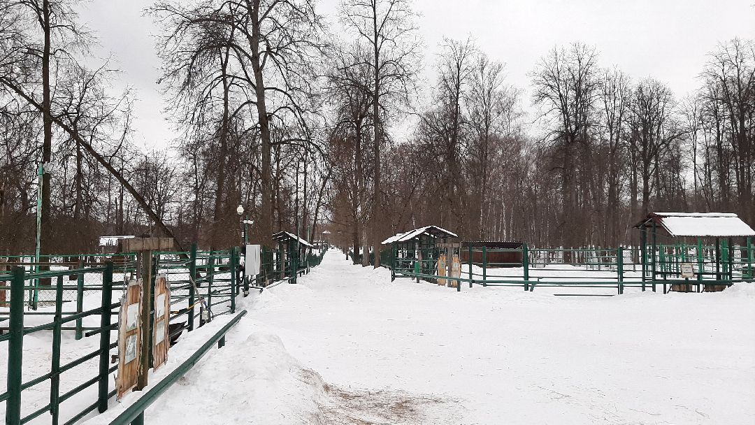 Зима в Подмосковье, Серпухов, заповедник
