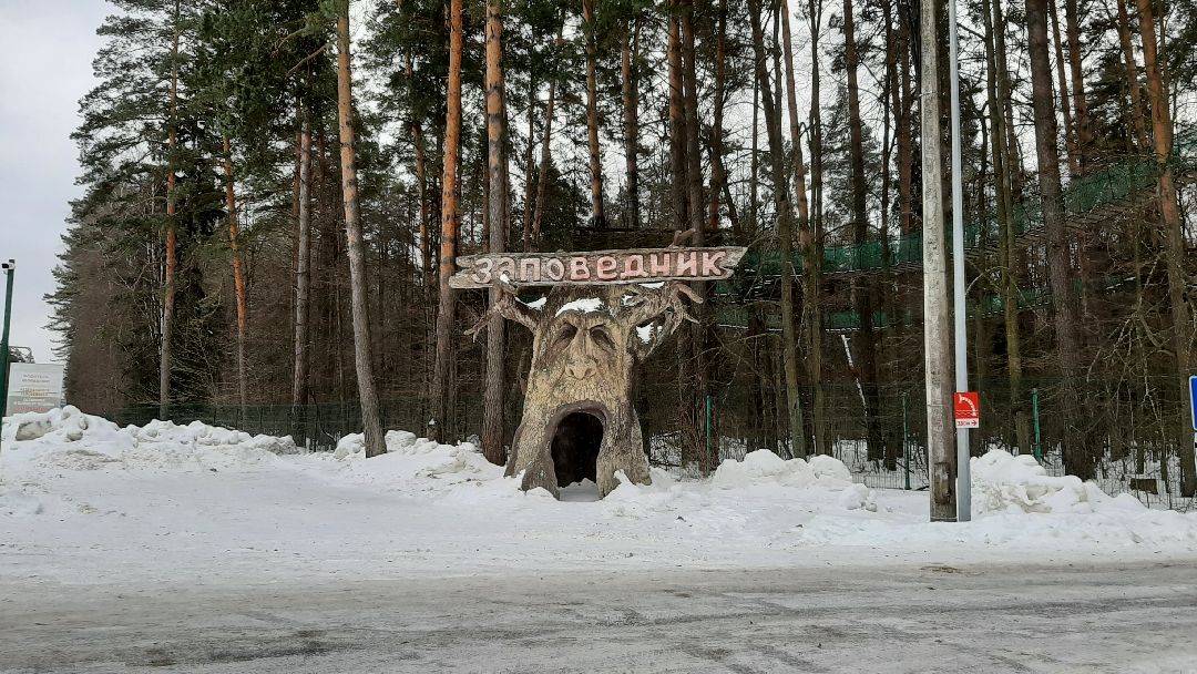 Зима в Подмосковье, Серпухов, заповедник