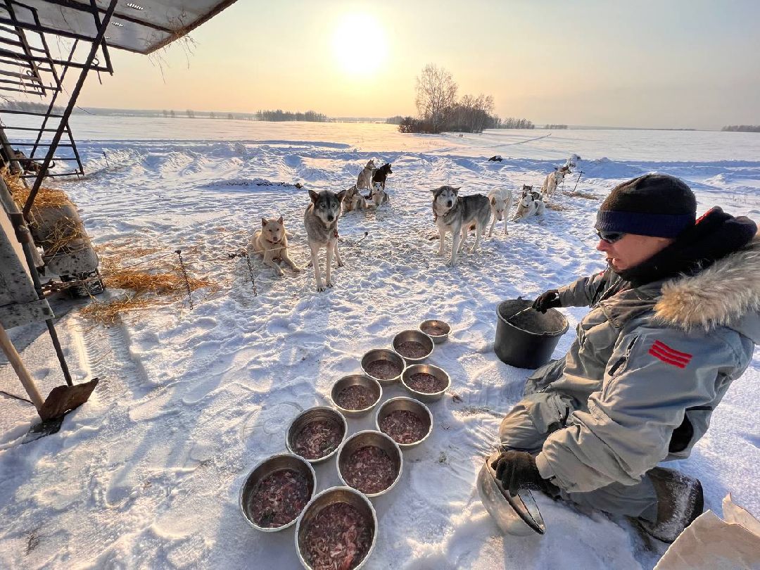 Подмосковье, Собаки, ГонкиНаСобачьихУпряжках, Можайск, Каюр, Байкал, БайкалРейс